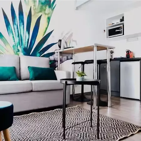 Apartment Duplex - Hypercentre -