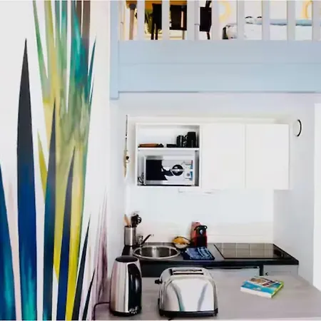Apartment Duplex - Hypercentre - Toulouse
